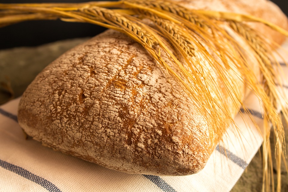 Photograph of Bread