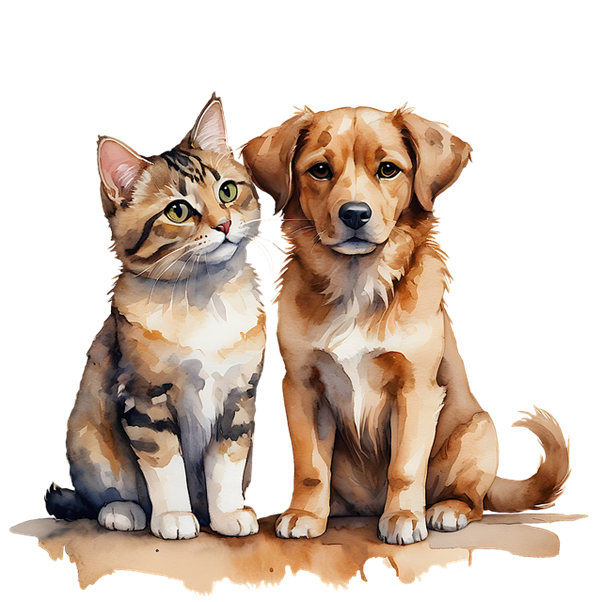 Kitten and Puppy